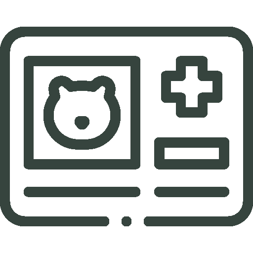 icon-identification